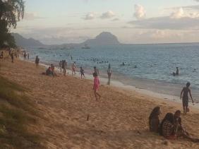 La plage de Flic en Flac La plage de Flic en Flac