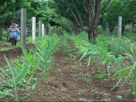 Production Bio Production Bio